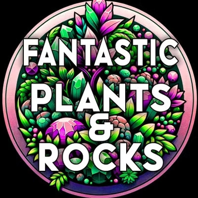 Fantastic Plants &  Rocks