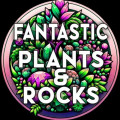 Fantastic Plants & Rocks